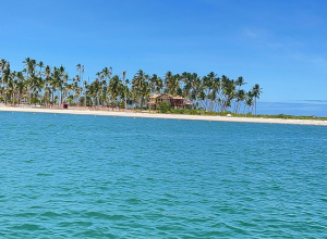 Praia de Carneiros 